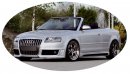 Audi A4 Cabrio 3/2002 - 2/2009 Type 8H/8E